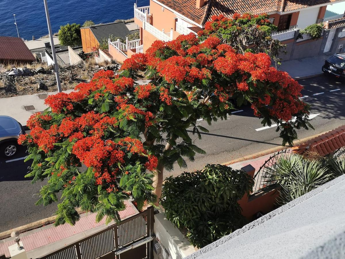 Balcon De Costanera Villa Santa Cruz de Tenerife Eksteriør bilde